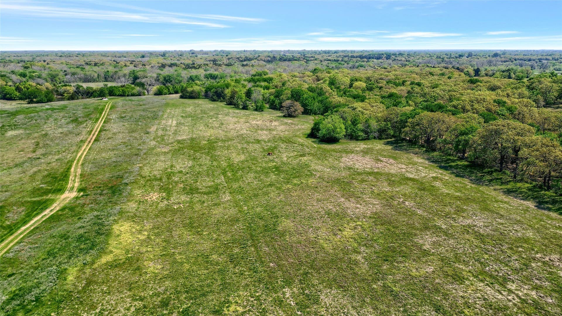 22 acres in Grayson County - photo 7