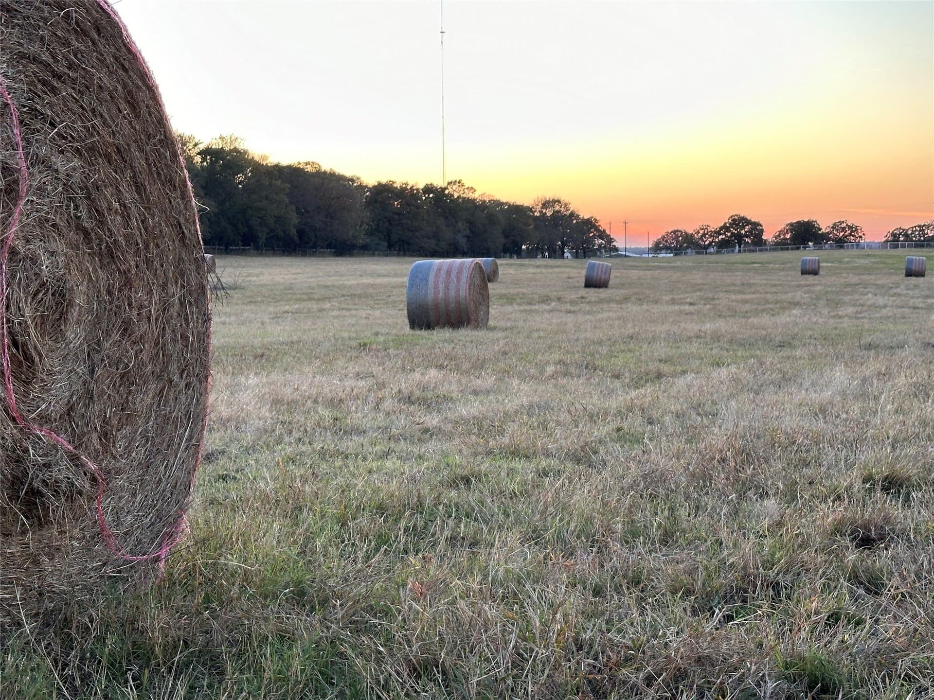 22 acres in Grayson County - photo 27