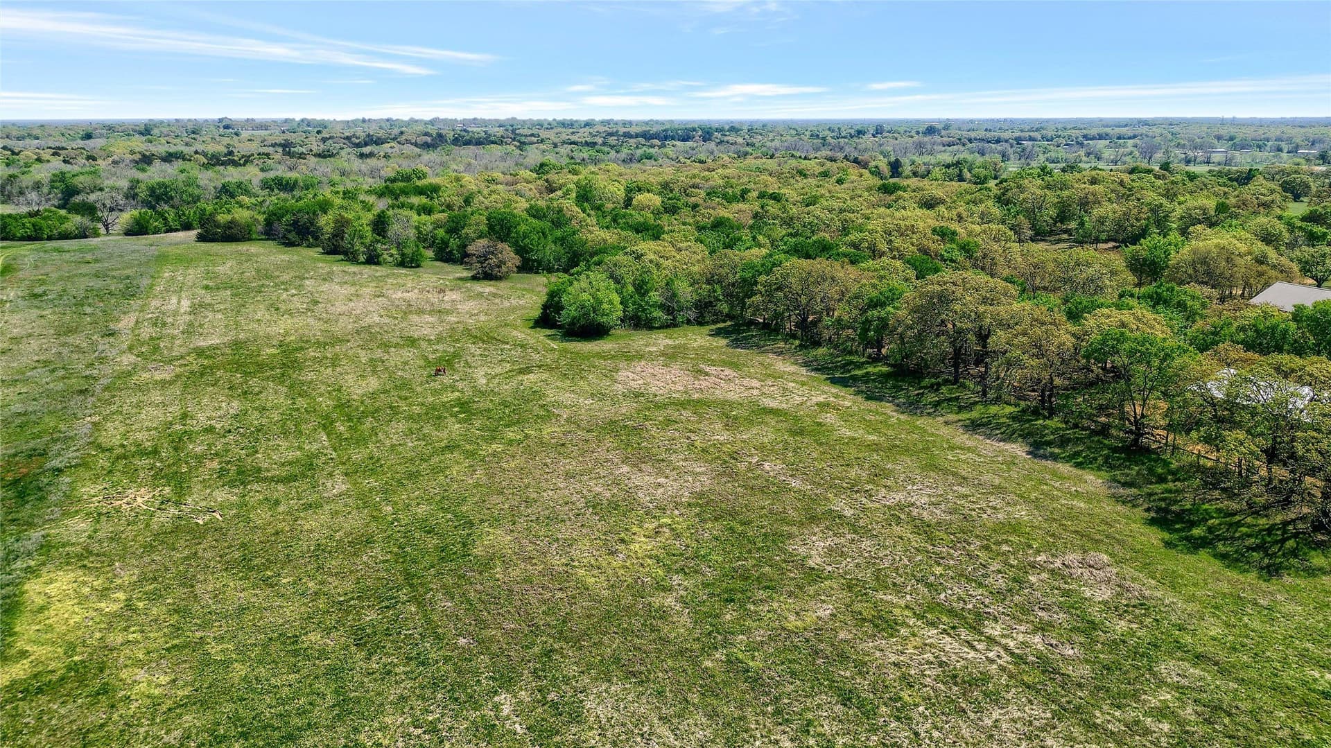 22 acres in Grayson County - photo 8