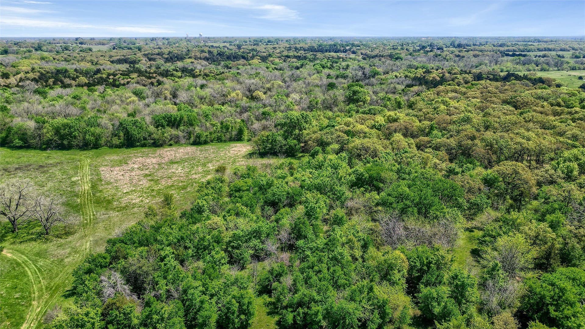 22 acres in Grayson County - photo 11