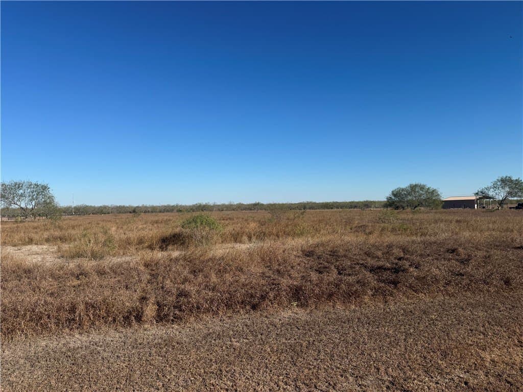 4 acres in Jim Wells County gallery image 3