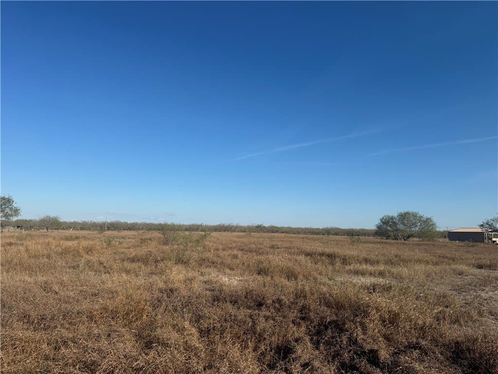 4 acres in Jim Wells County gallery image 4