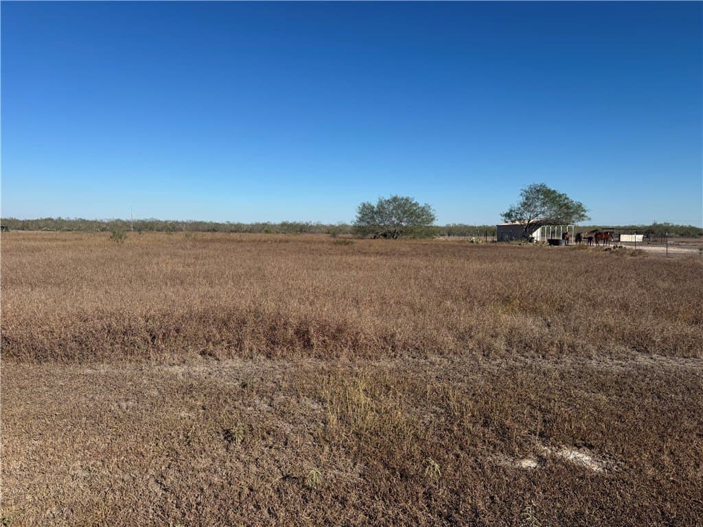4 acres in Jim Wells County gallery image 2