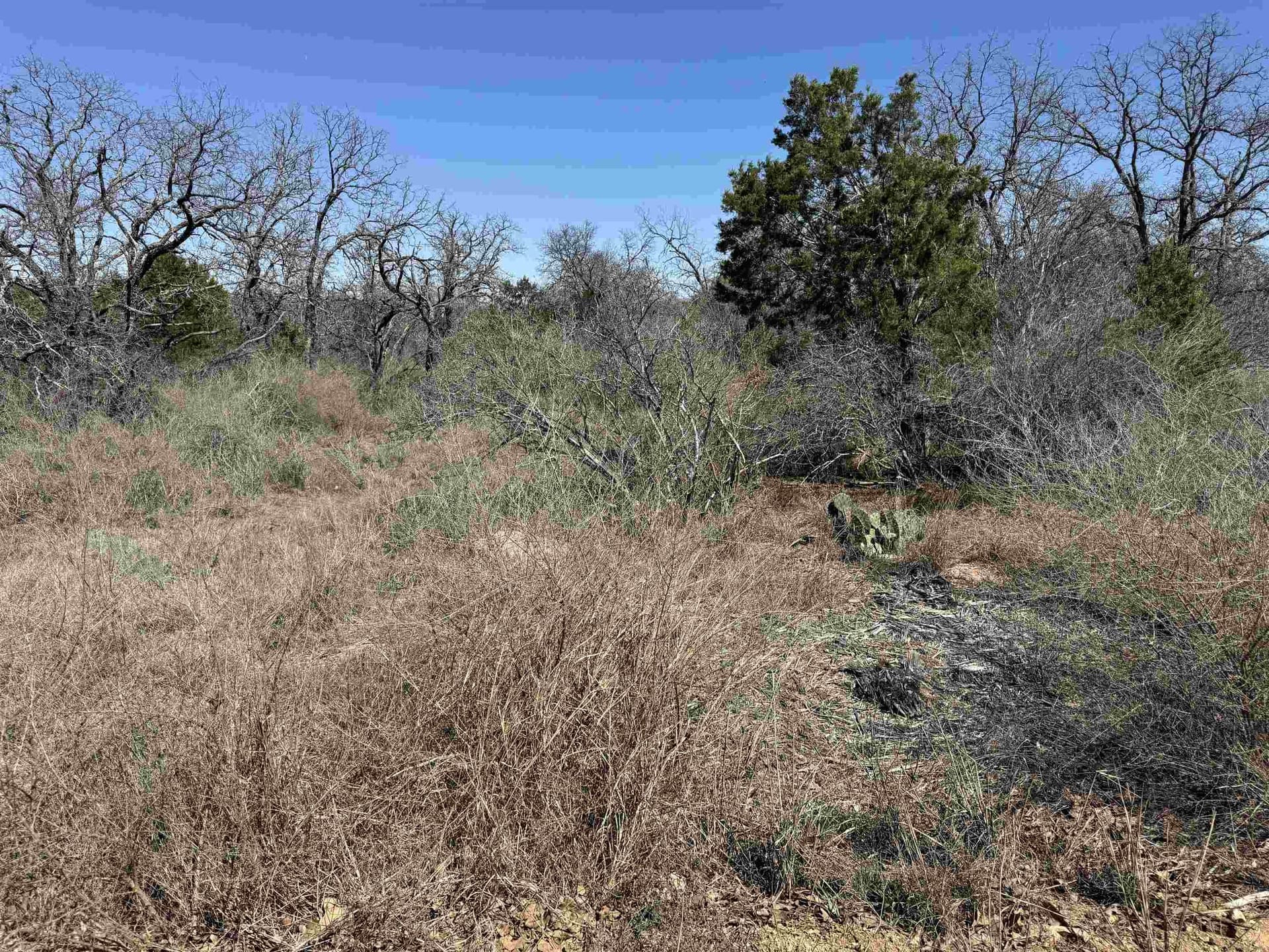 0.28 acres in Llano County featured view
