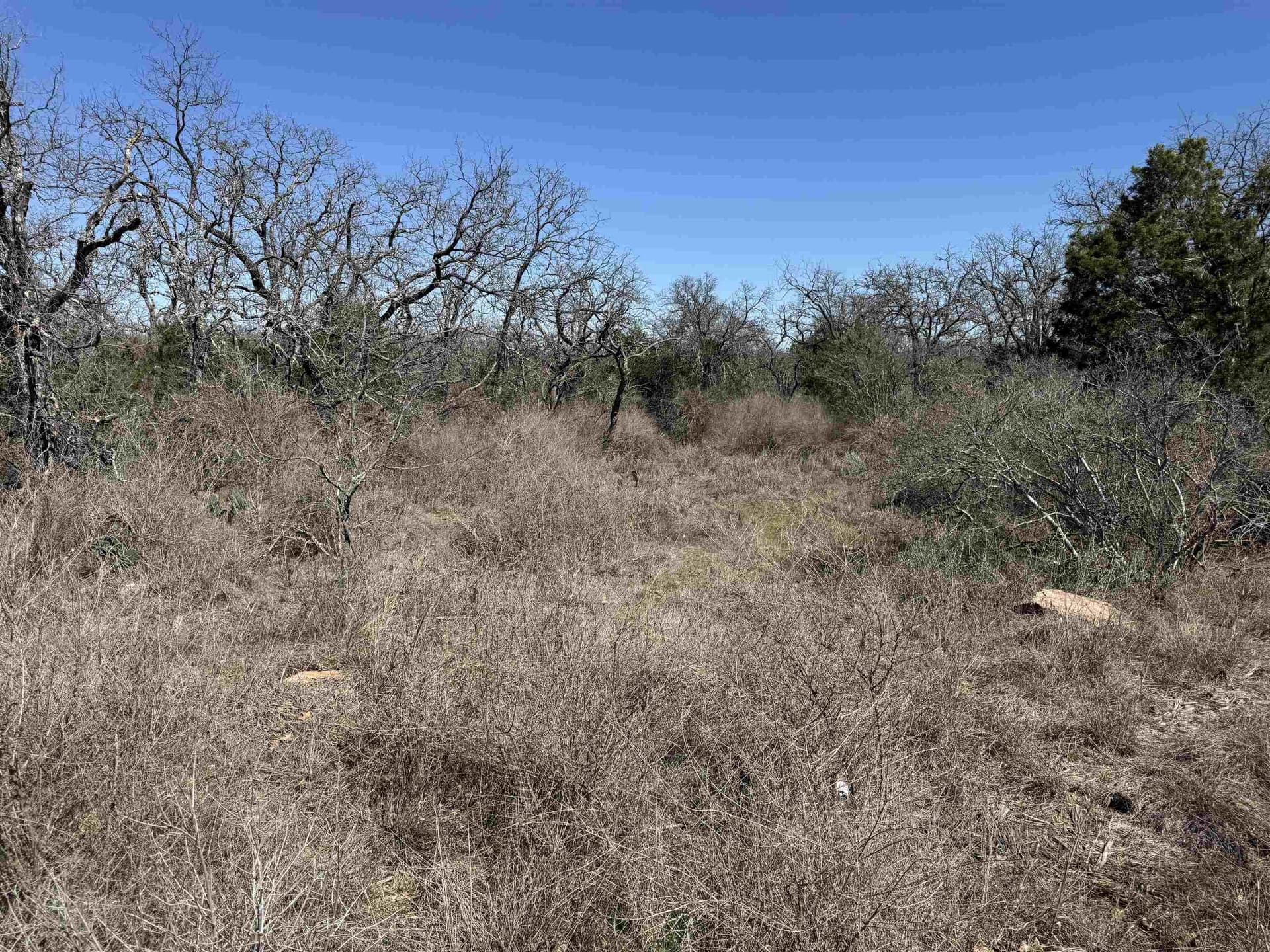 0.28 acres in Llano County gallery image 4
