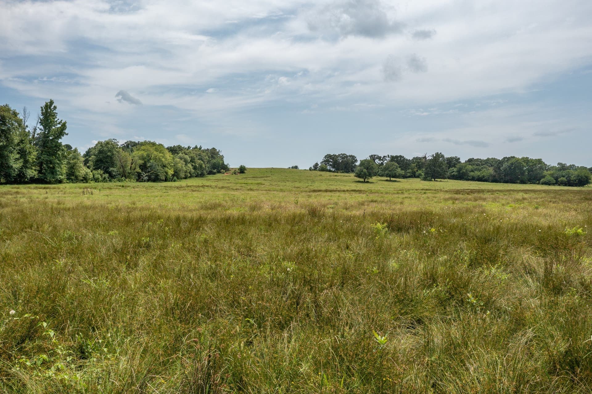 48.54 acres in Hopkins County - photo 14