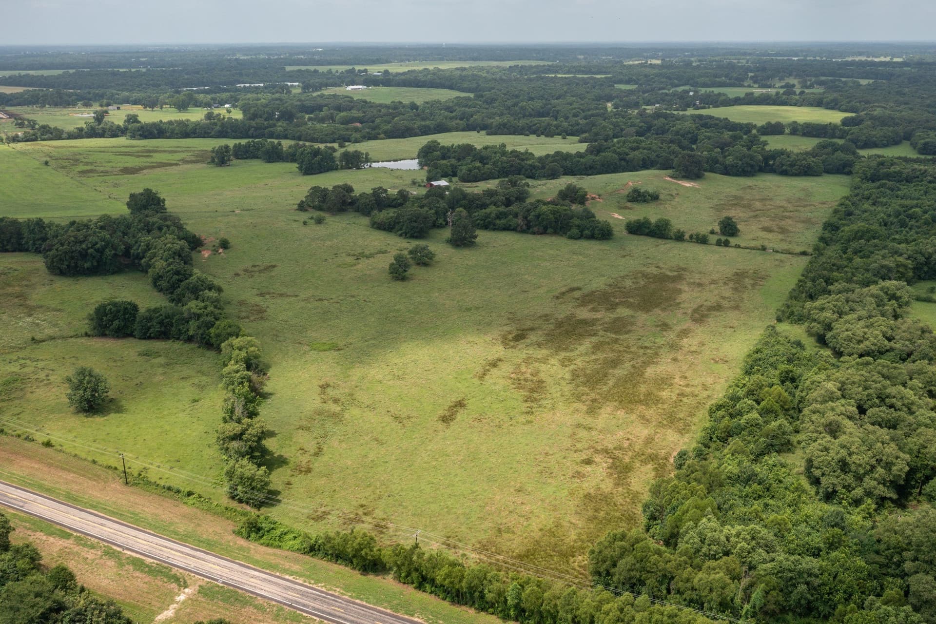 48.54 acres in Hopkins County gallery image 4