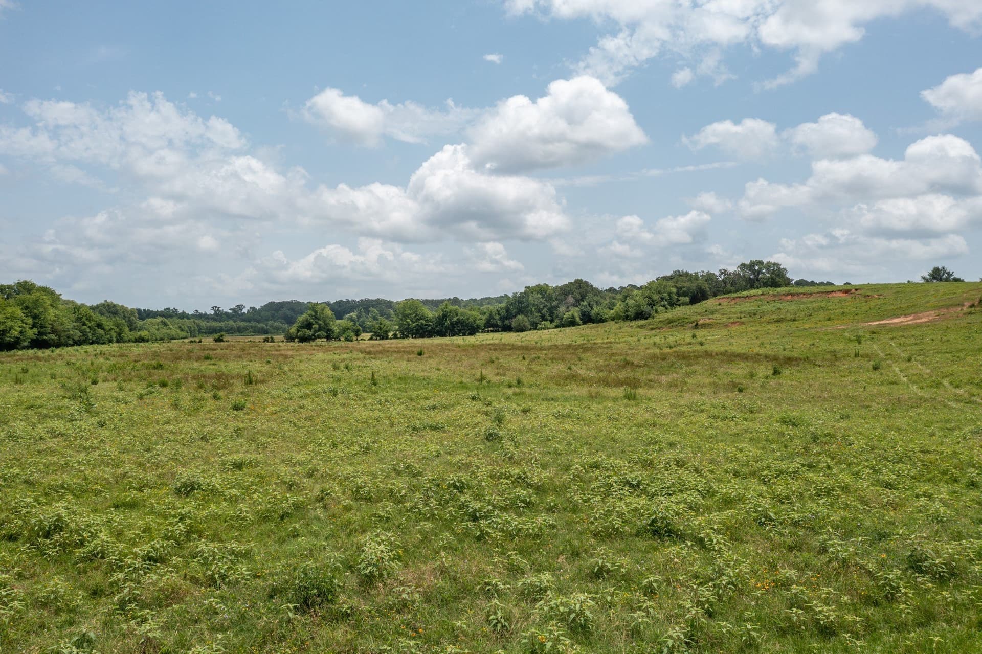 48.54 acres in Hopkins County - photo 12