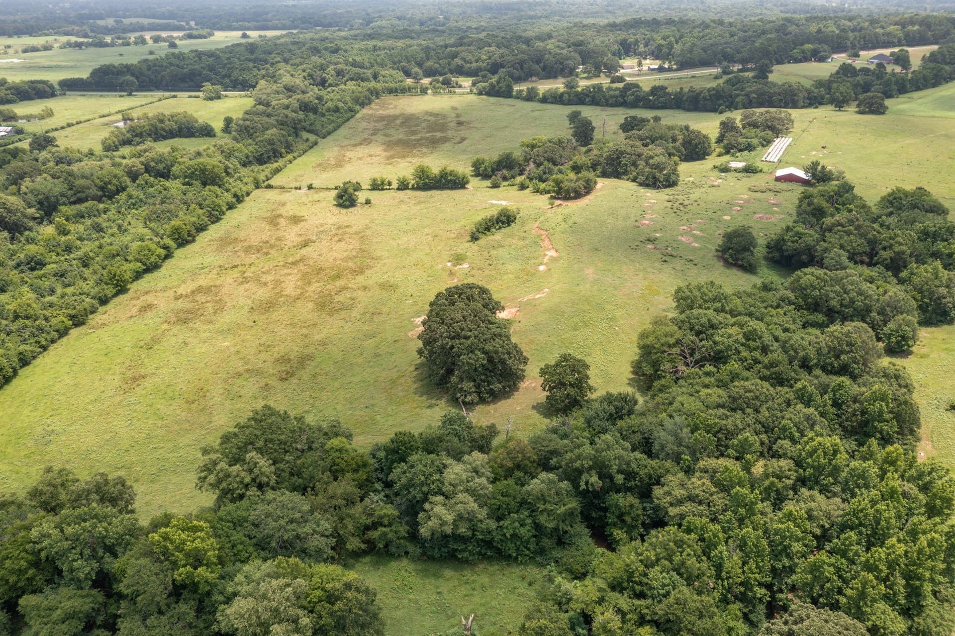 48.54 acres in Hopkins County - photo 10