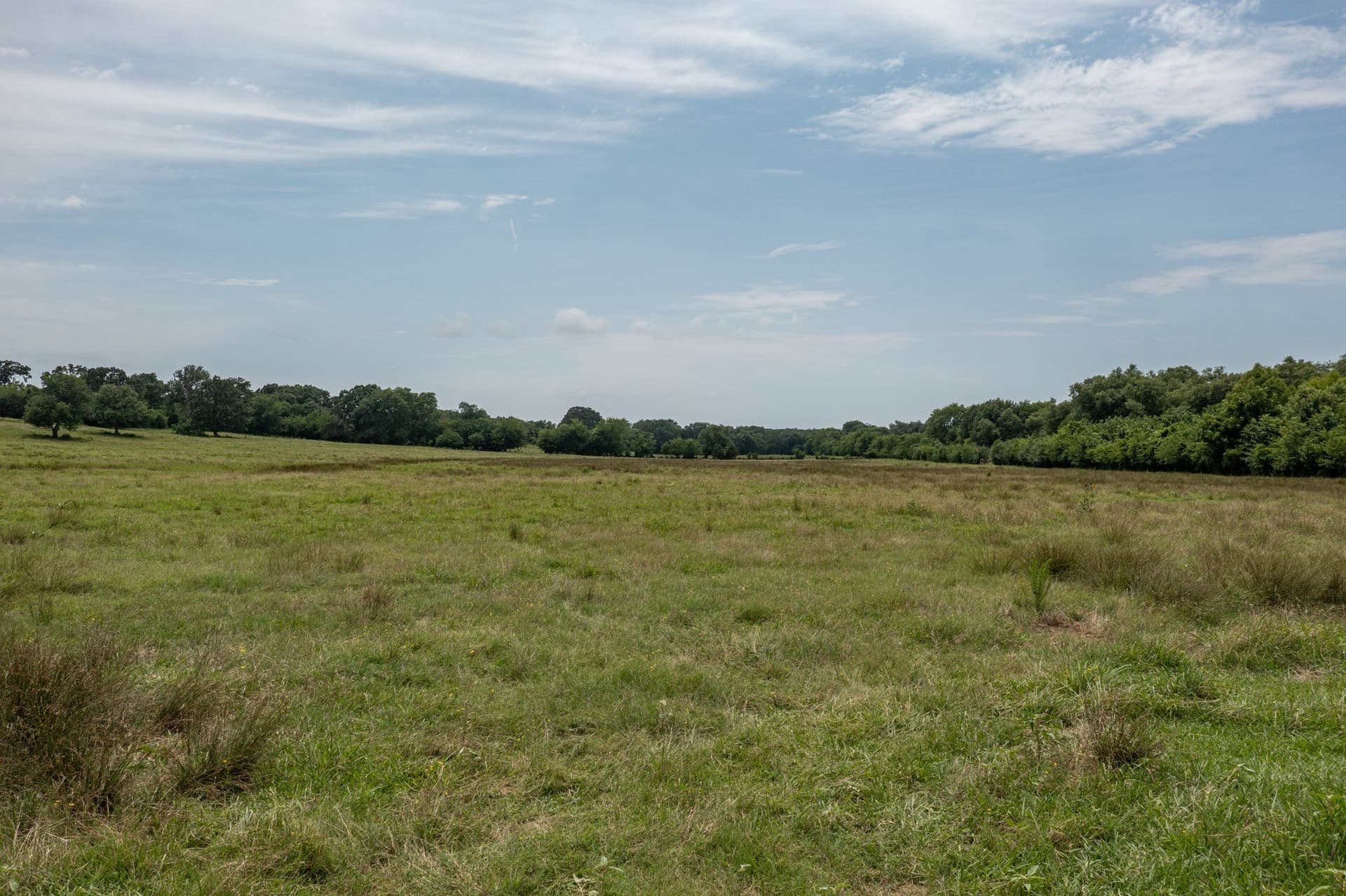 48.54 acres in Hopkins County - photo 16