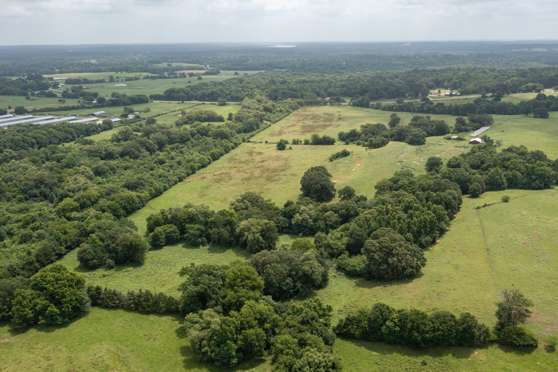 48.54 acres in Hopkins County - photo 6