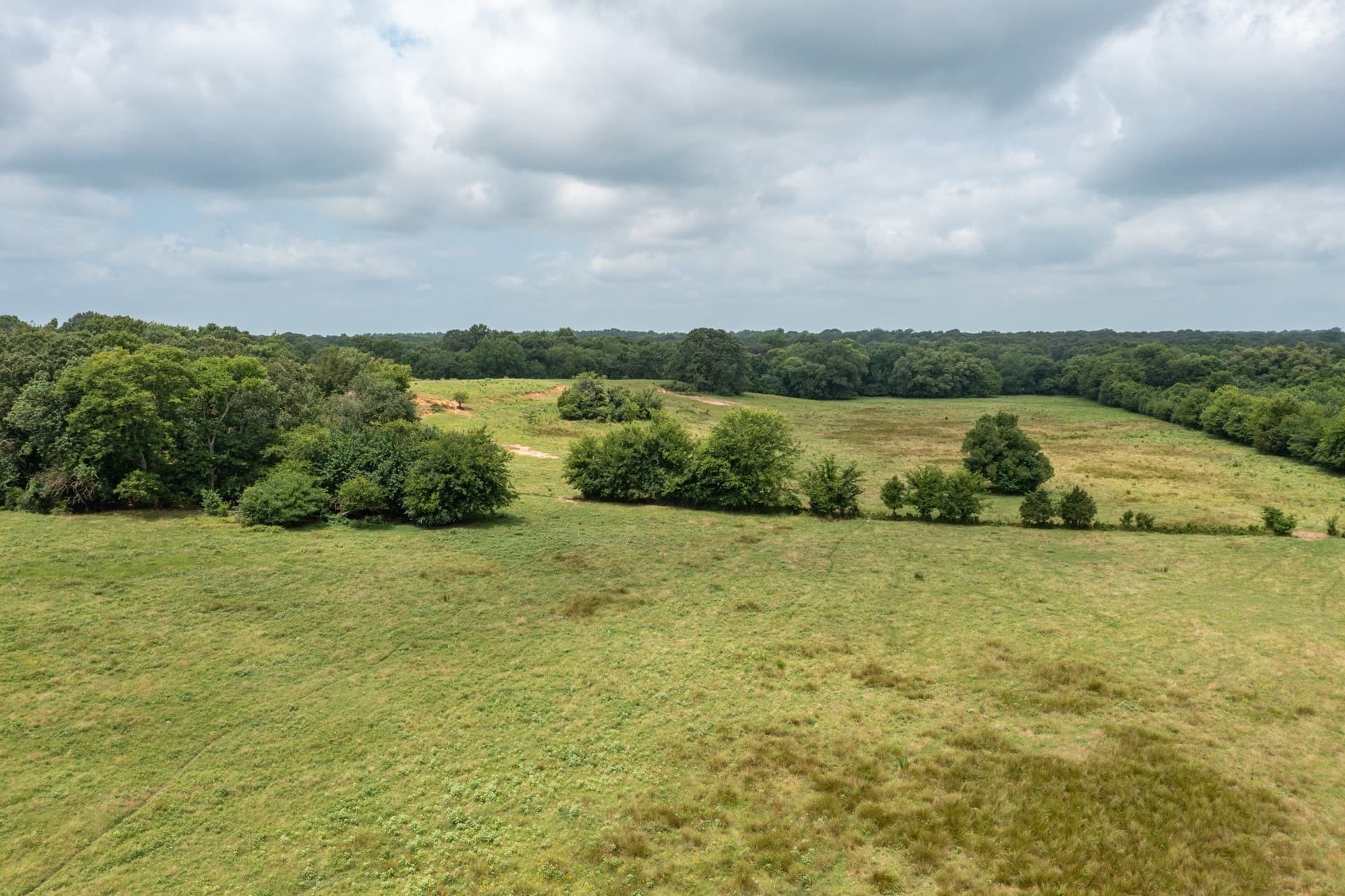 48.54 acres in Hopkins County featured view