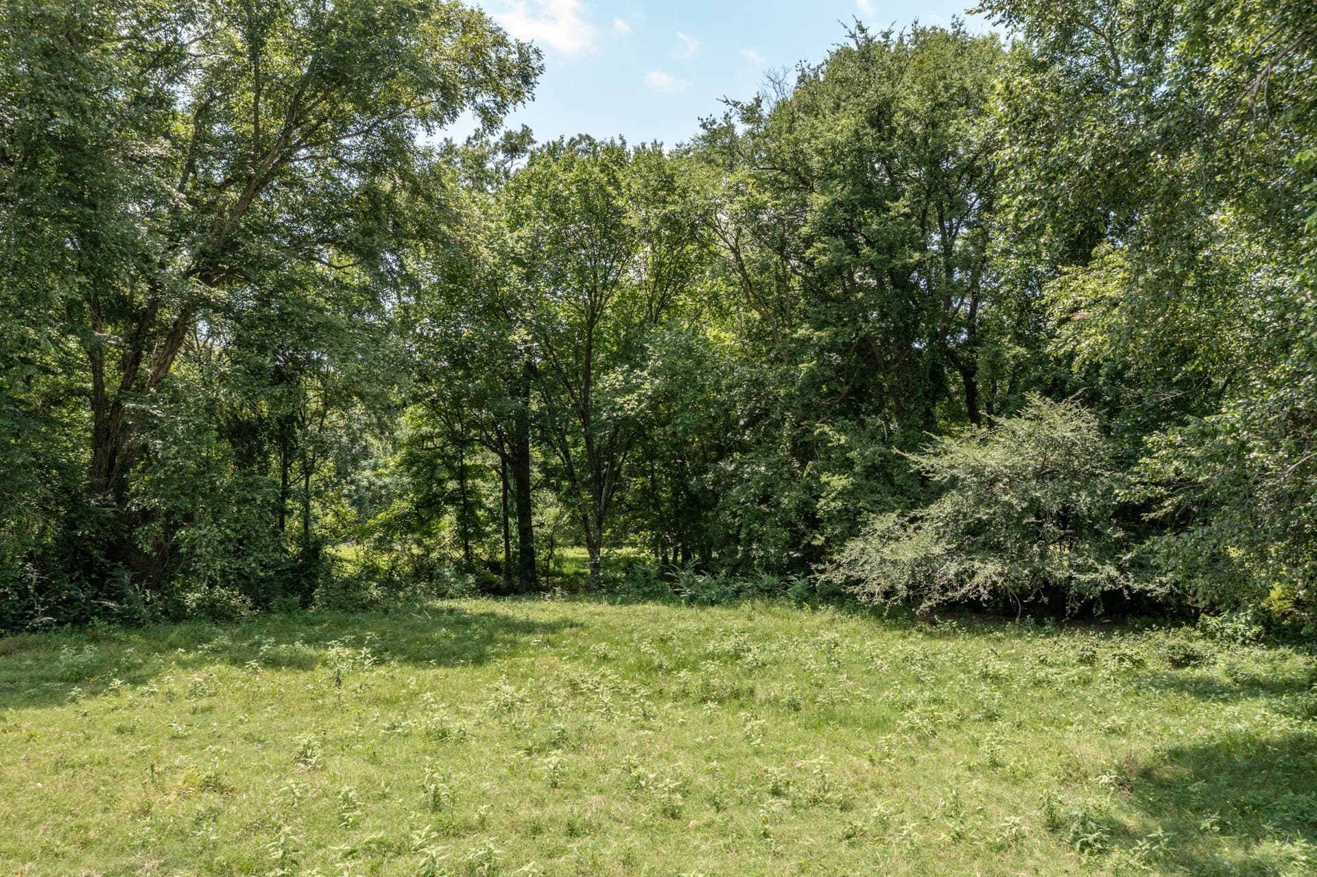 48.54 acres in Hopkins County - photo 13