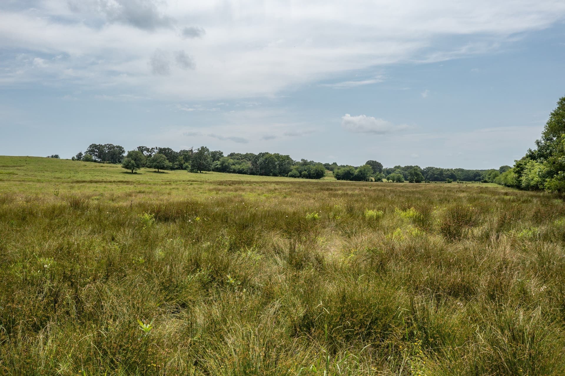 48.54 acres in Hopkins County - photo 15