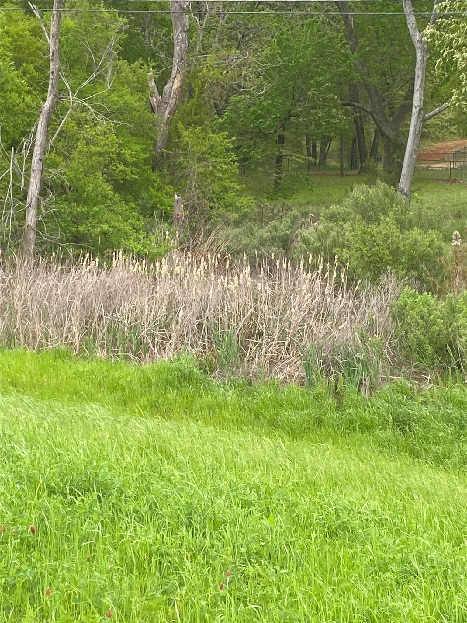1.62 acres in Henderson County gallery image 2