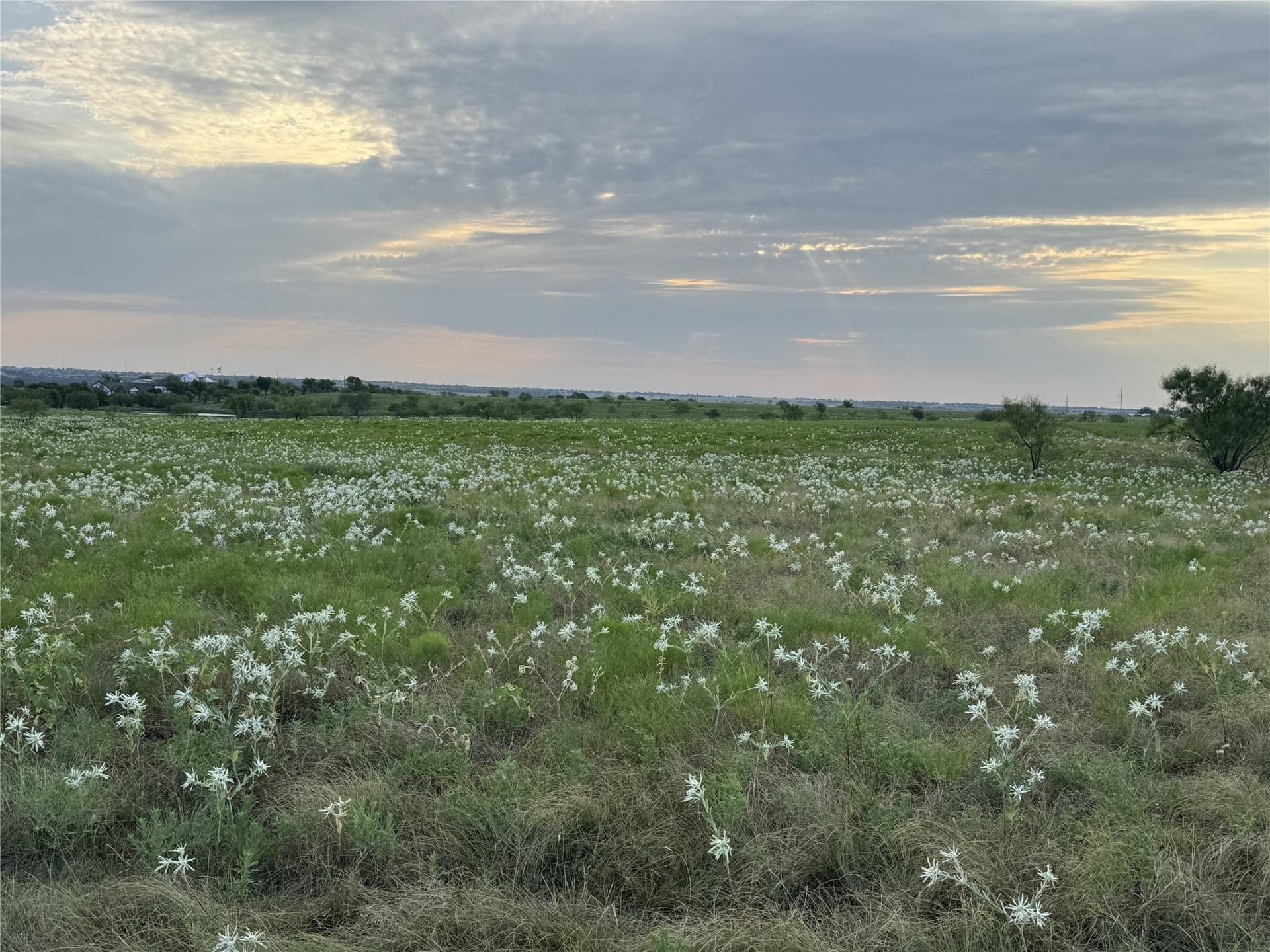 11.9 acres in Wise County - photo 5