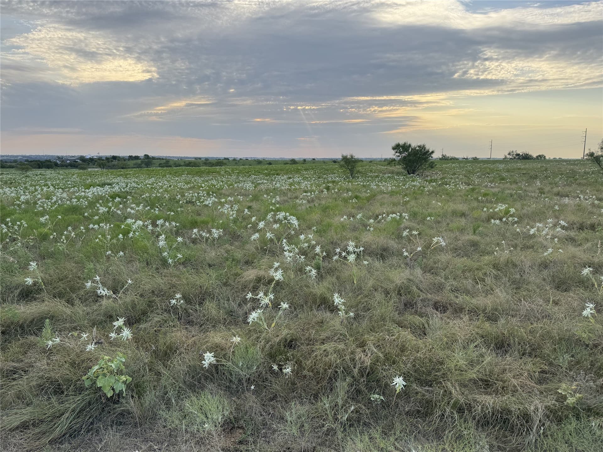 11.9 acres in Wise County - photo 6