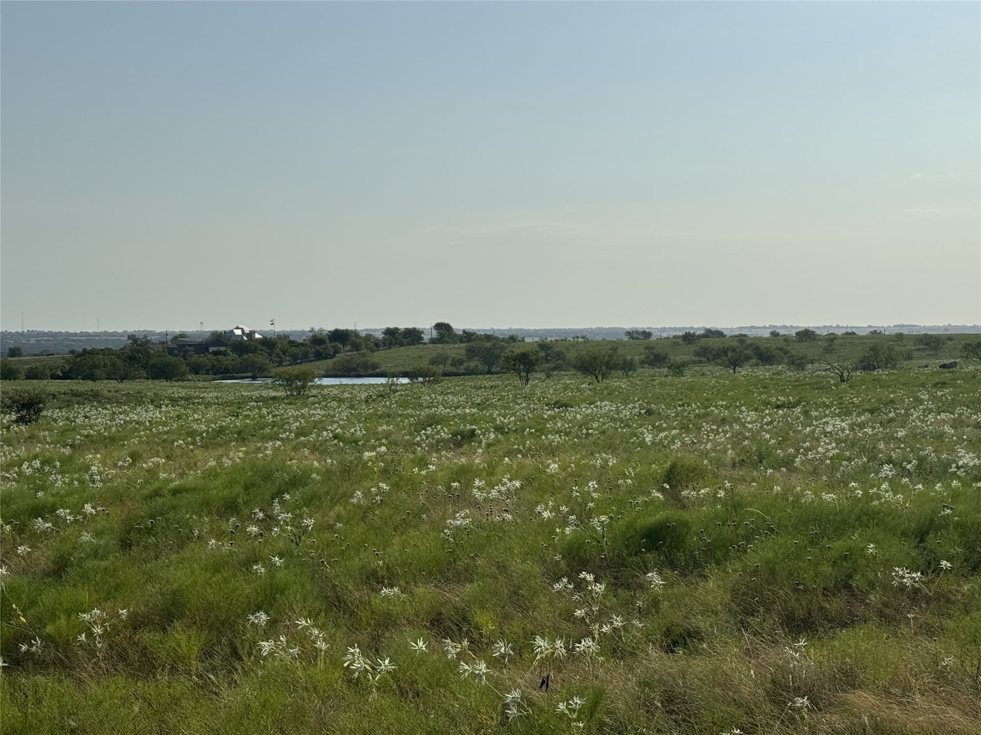 11.9 acres in Wise County - photo 8