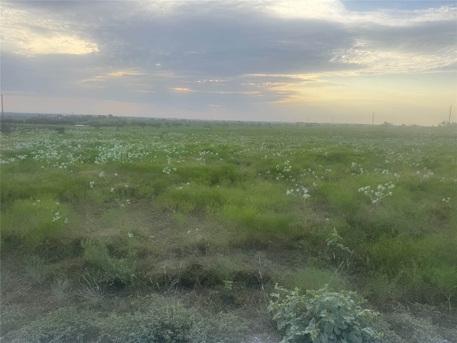 11.9 acres in Wise County - photo 3