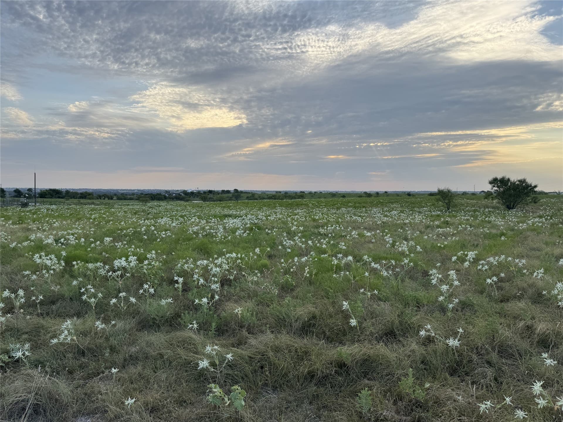11.9 acres in Wise County - photo 4