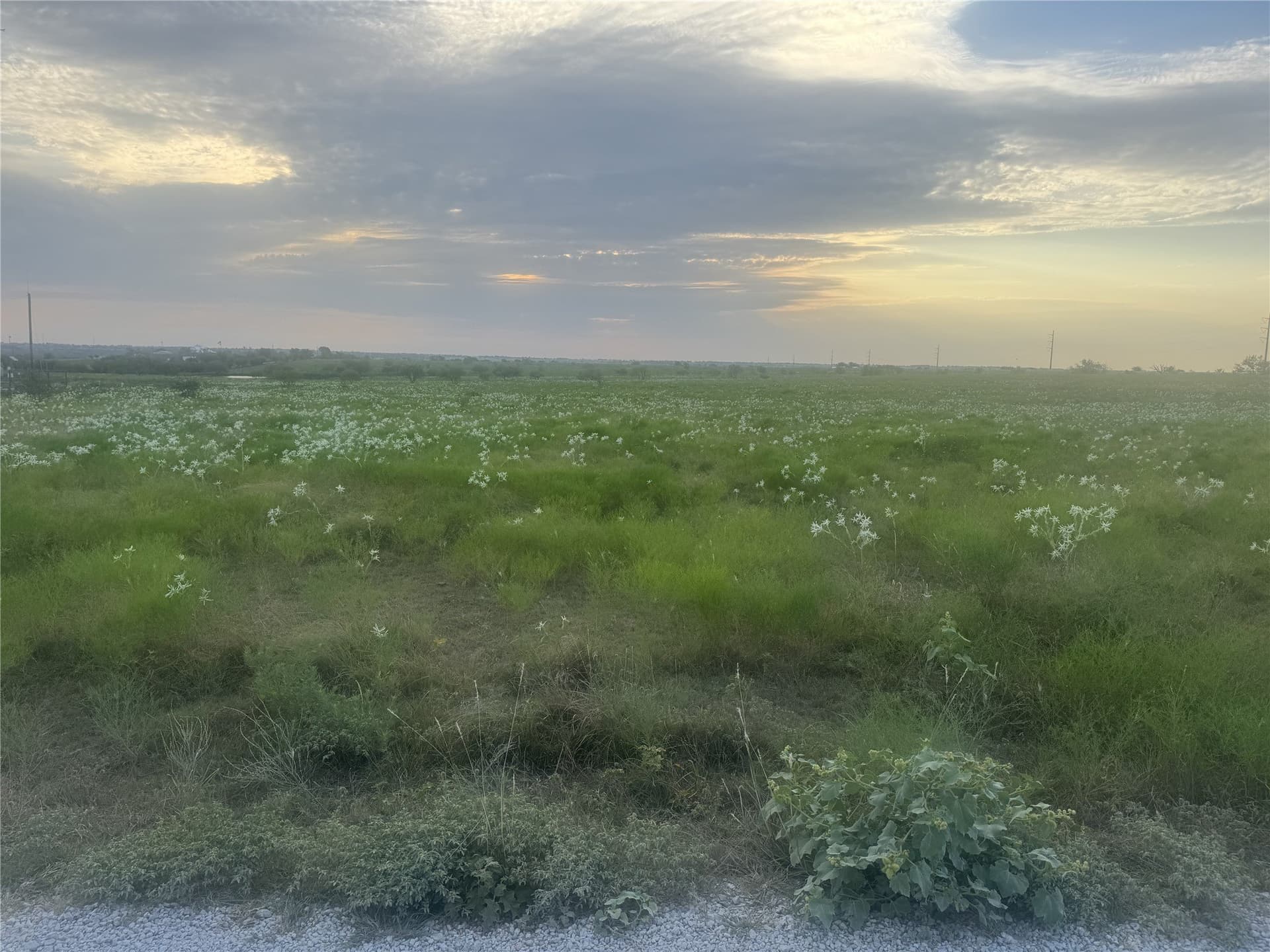11.9 acres in Wise County - photo 2