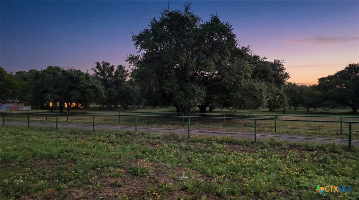 19 acres in DeWitt County gallery image 4