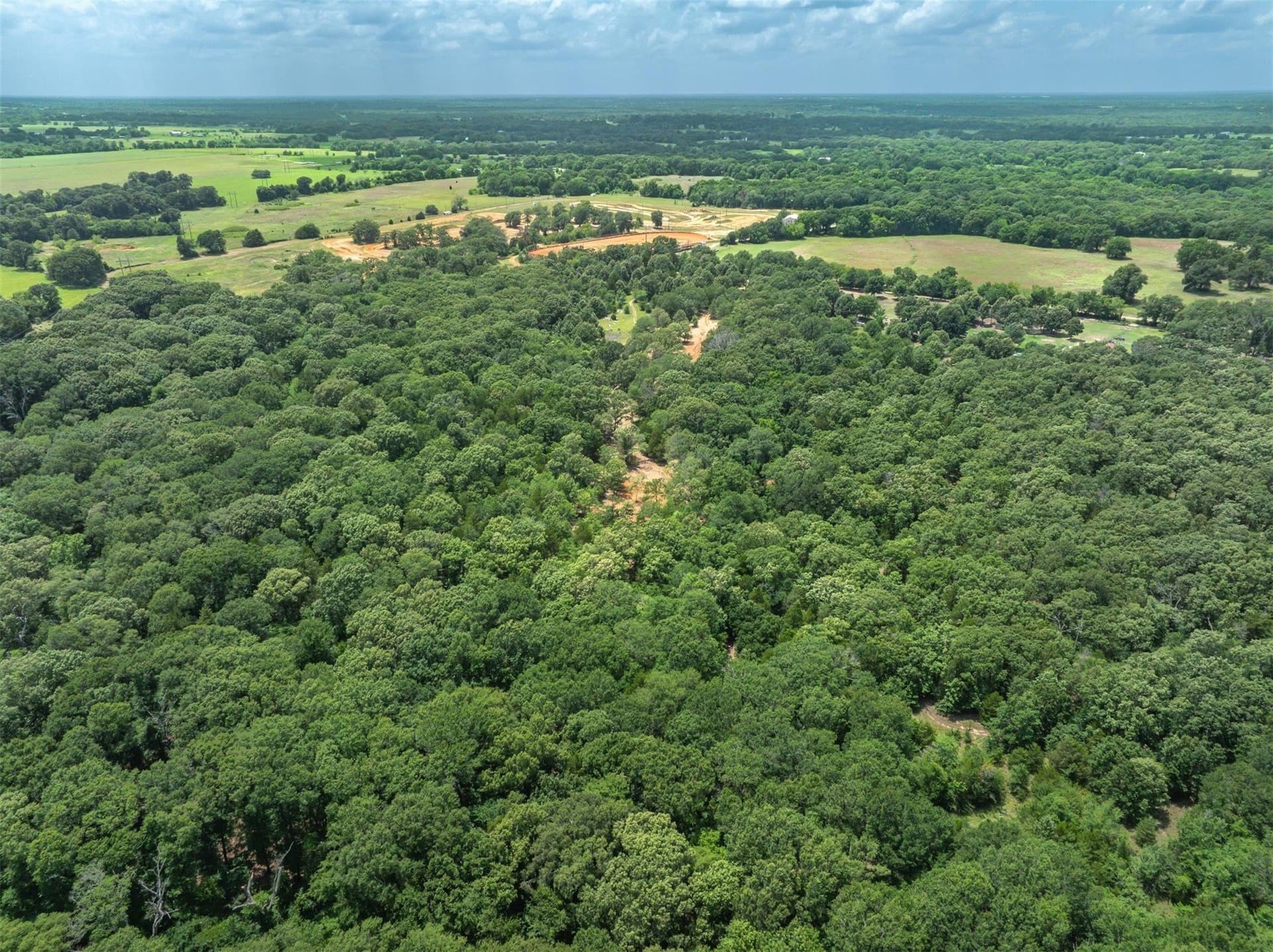 50 acres in Van Zandt County gallery image 3