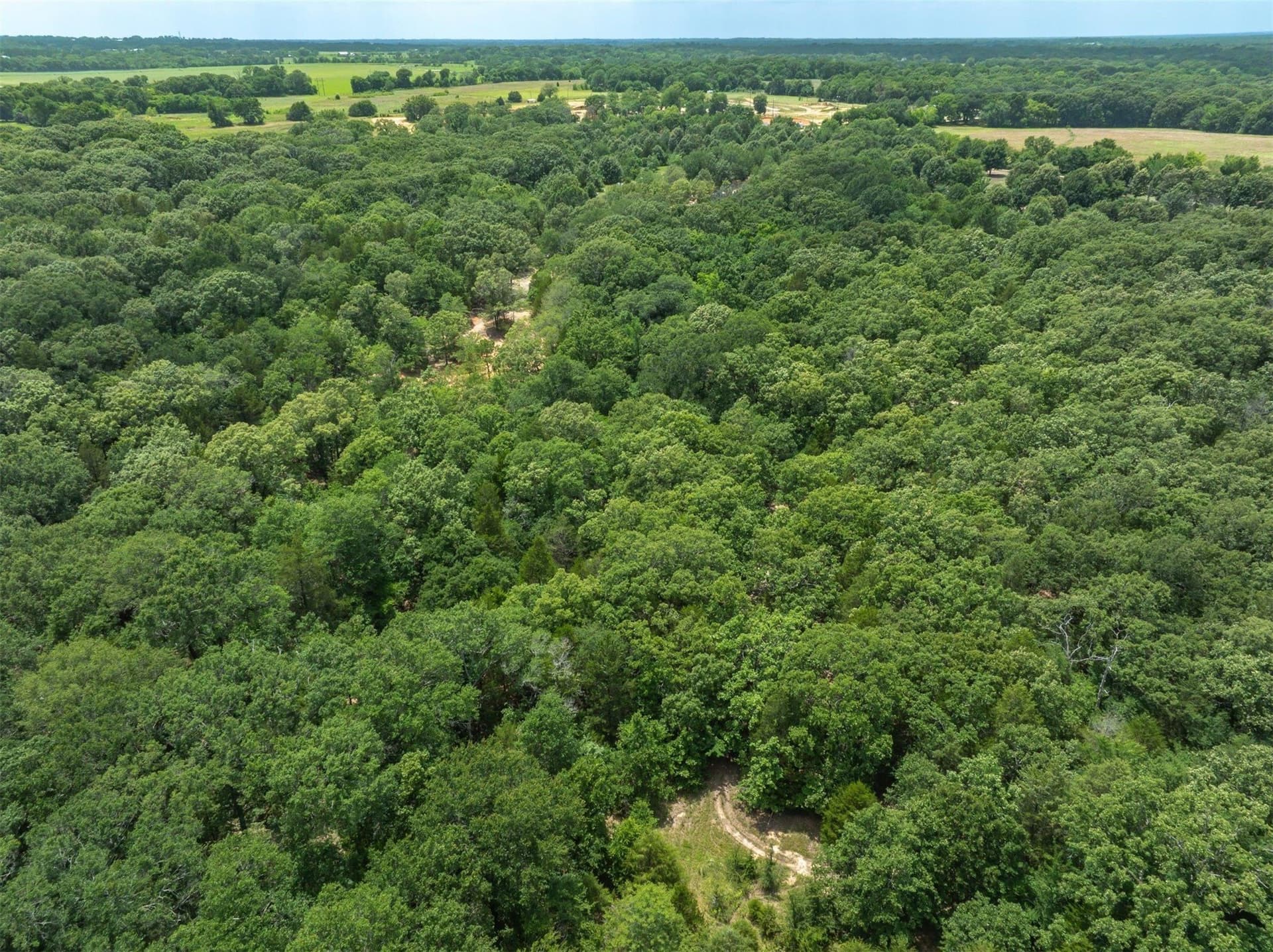 50 acres in Van Zandt County featured view