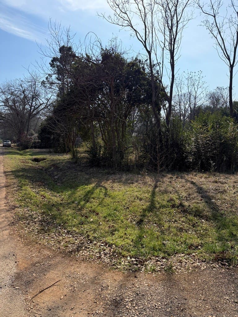 0.34 acres in Texas County - photo 15