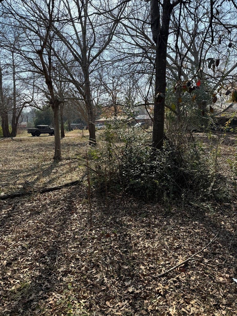 0.34 acres in Texas County - photo 2