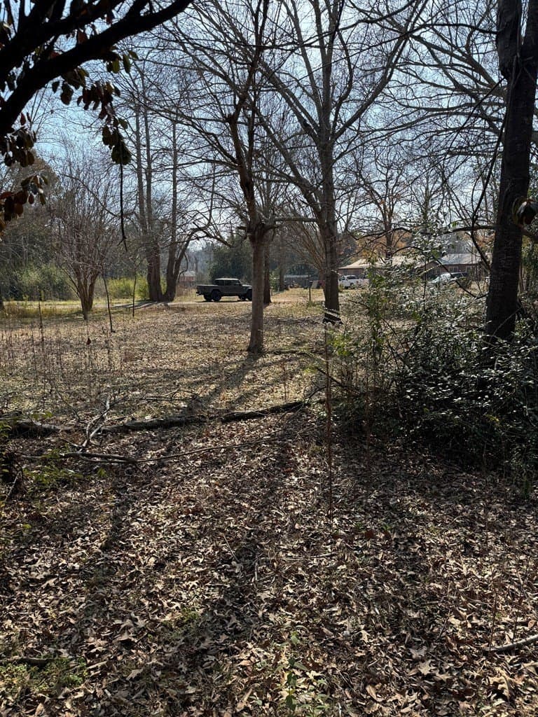 0.34 acres in Texas County - photo 3