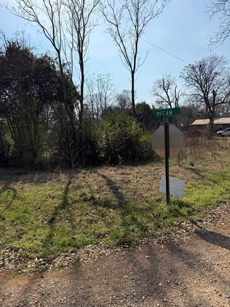 0.34 acres in Texas County - photo 14