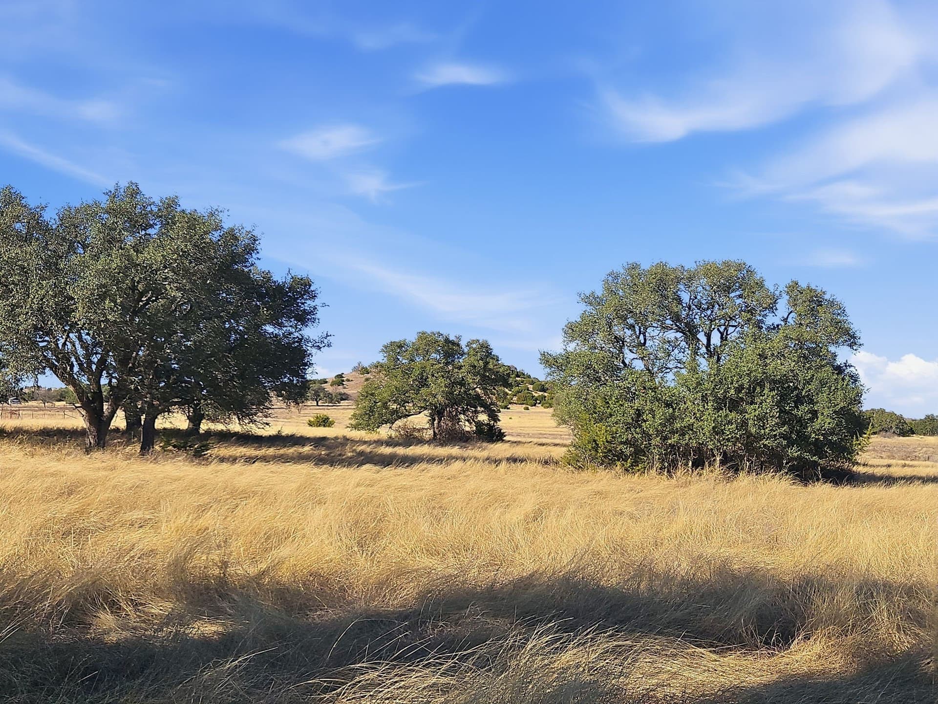 519.23 acres in Hamilton County - photo 31