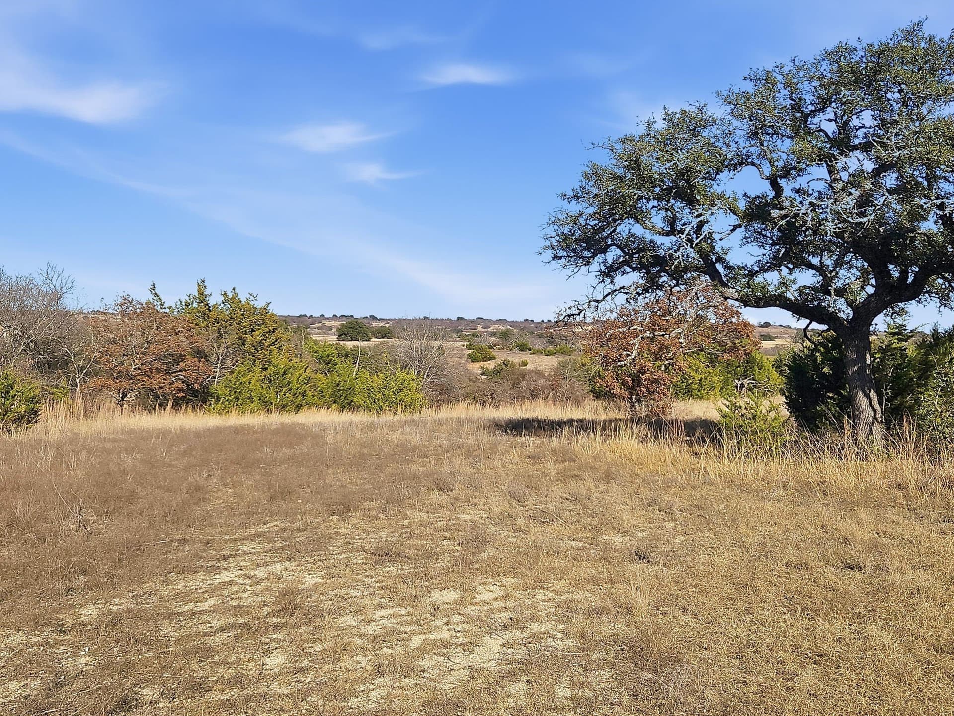 519.23 acres in Hamilton County - photo 16