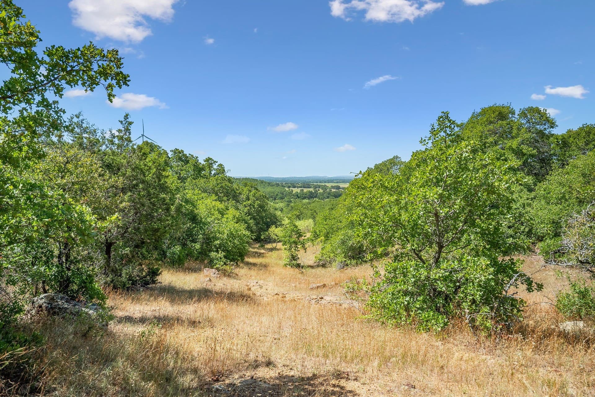 172 acres in Jack County gallery image 4