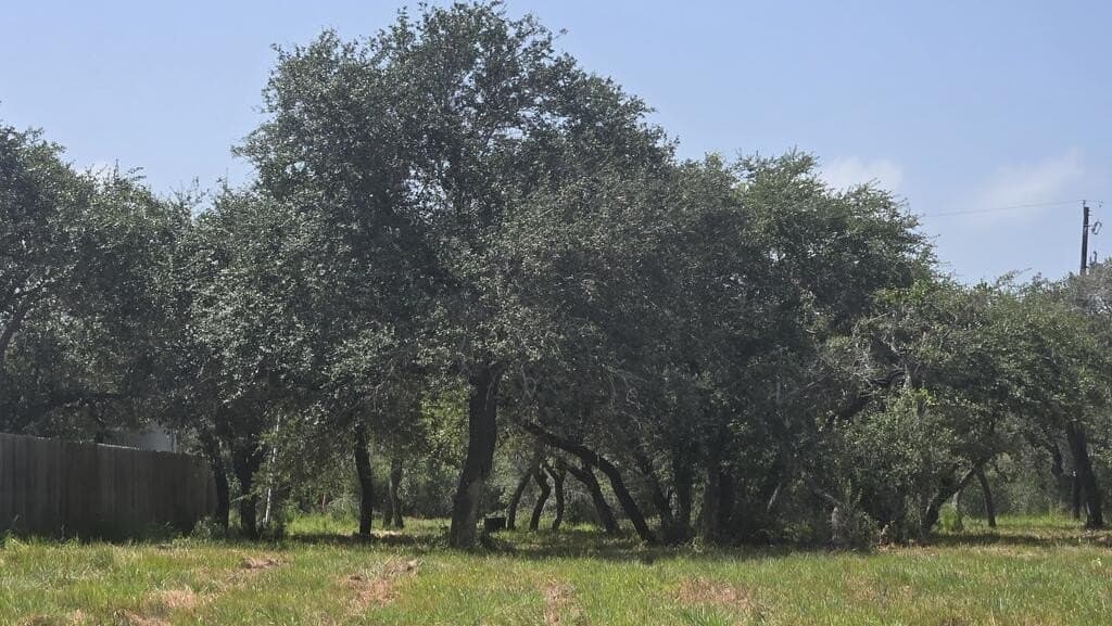 0.22 acres in Texas County - photo 5