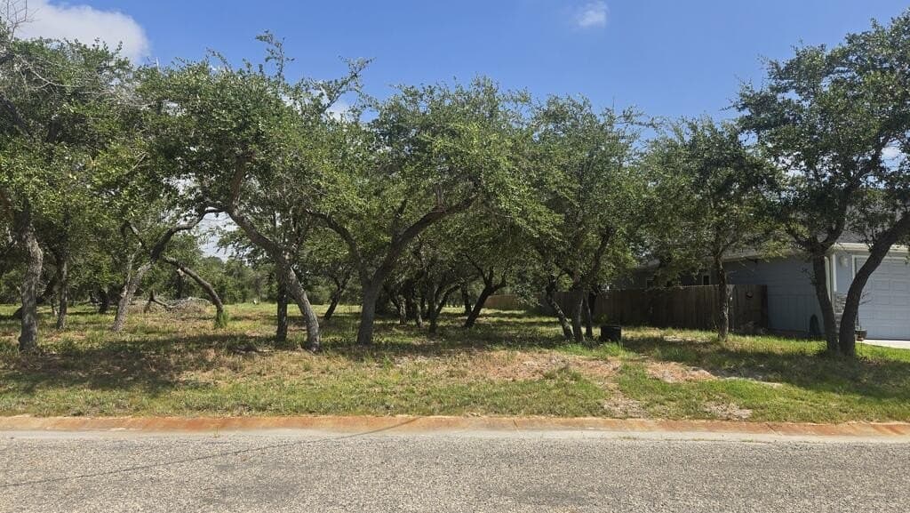 0.22 acres in Texas County - photo 3