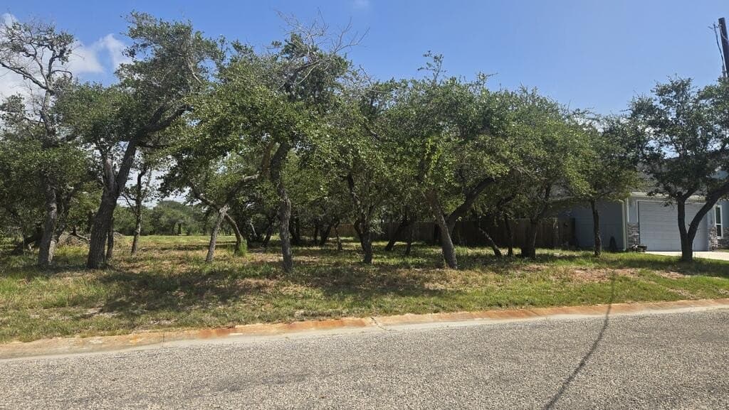 0.22 acres in Texas County - photo 2