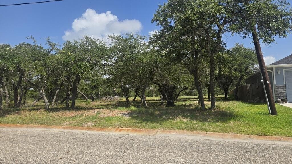 0.22 acres in Texas County - photo 4