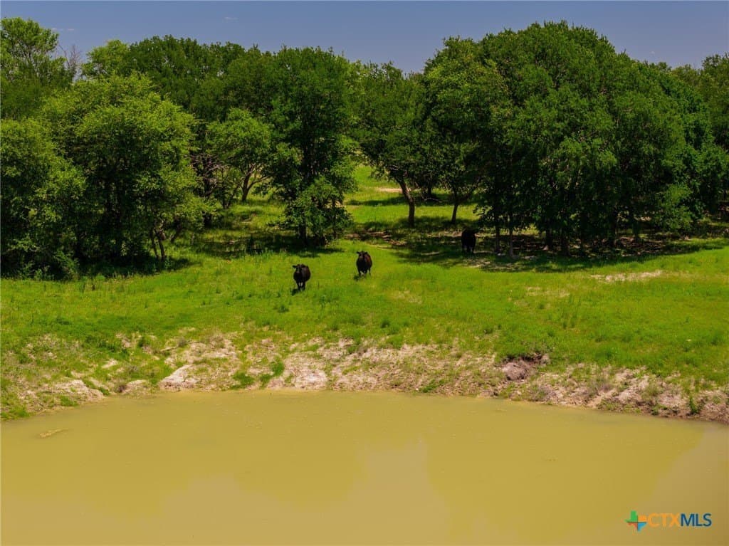 72.07 acres in Coryell County gallery image 2