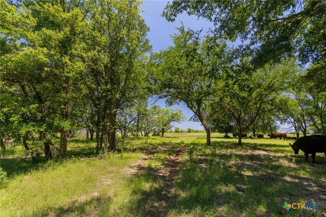 72.07 acres in Coryell County featured view