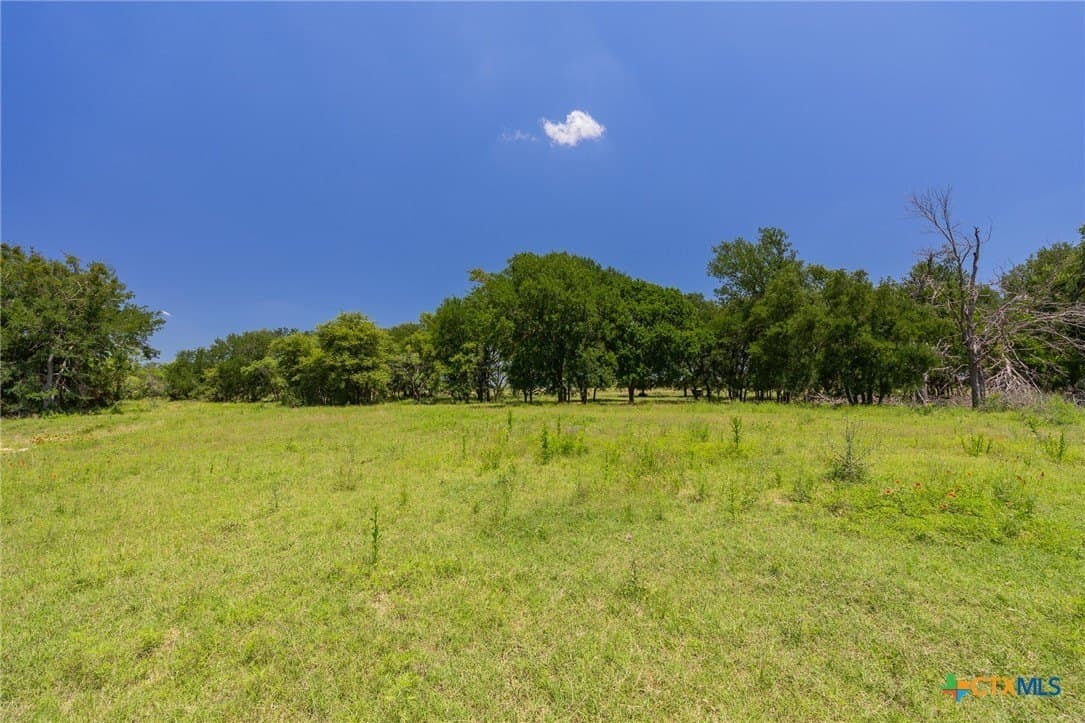 72.07 acres in Coryell County gallery image 3