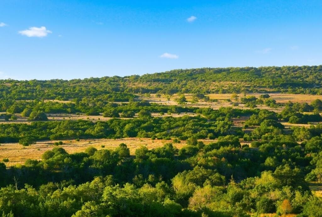 3,235 acres in Hays County - photo 61