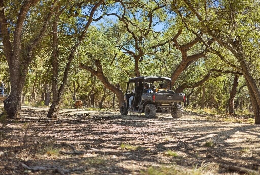 3,235 acres in Hays County - photo 13