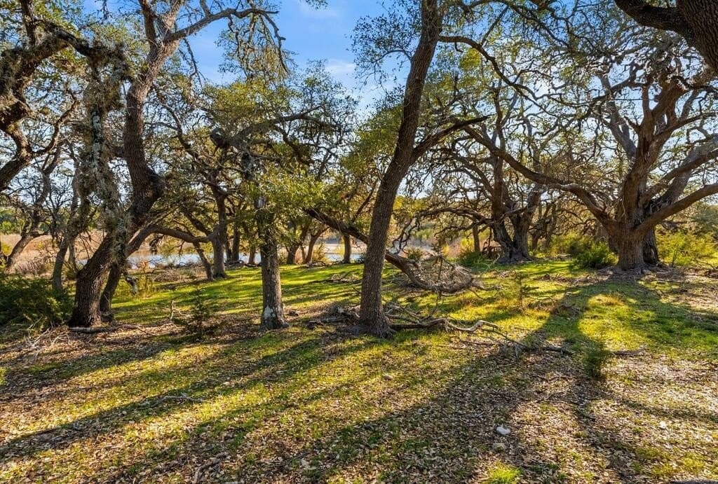 3,235 acres in Hays County - photo 79