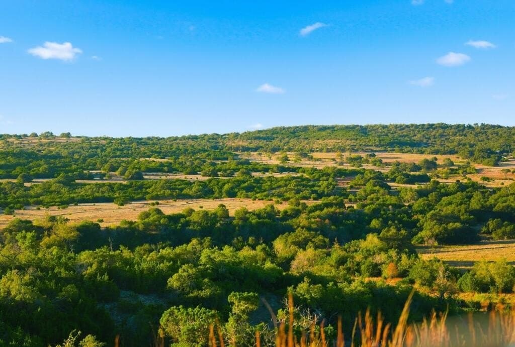 3,235 acres in Hays County - photo 46