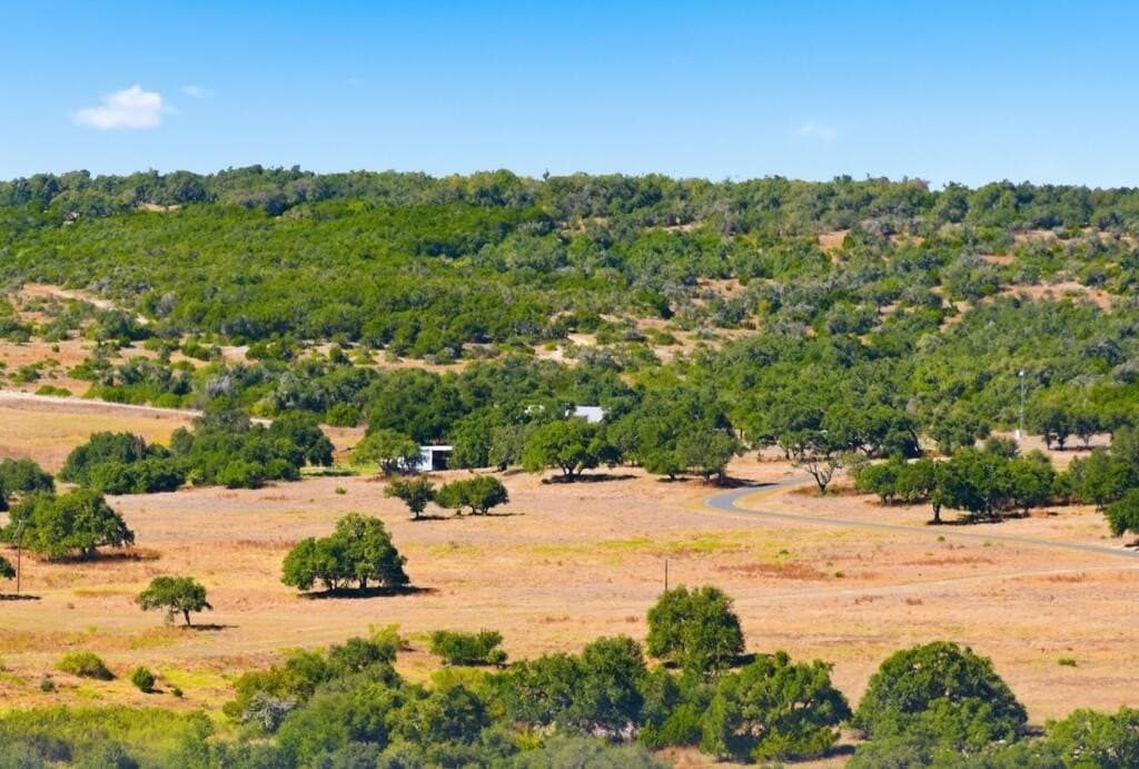 3,235 acres in Hays County - photo 4