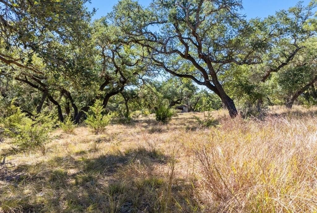 3,235 acres in Hays County - photo 40