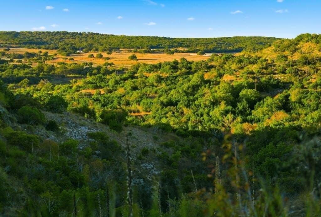3,235 acres in Hays County - photo 62