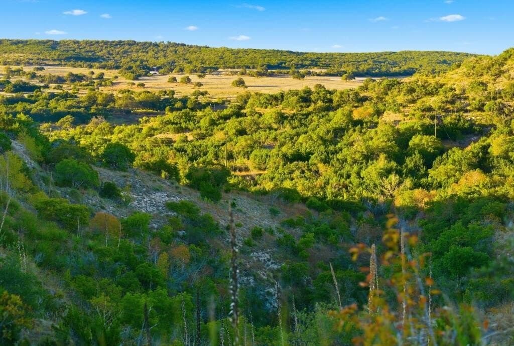3,235 acres in Hays County - photo 64
